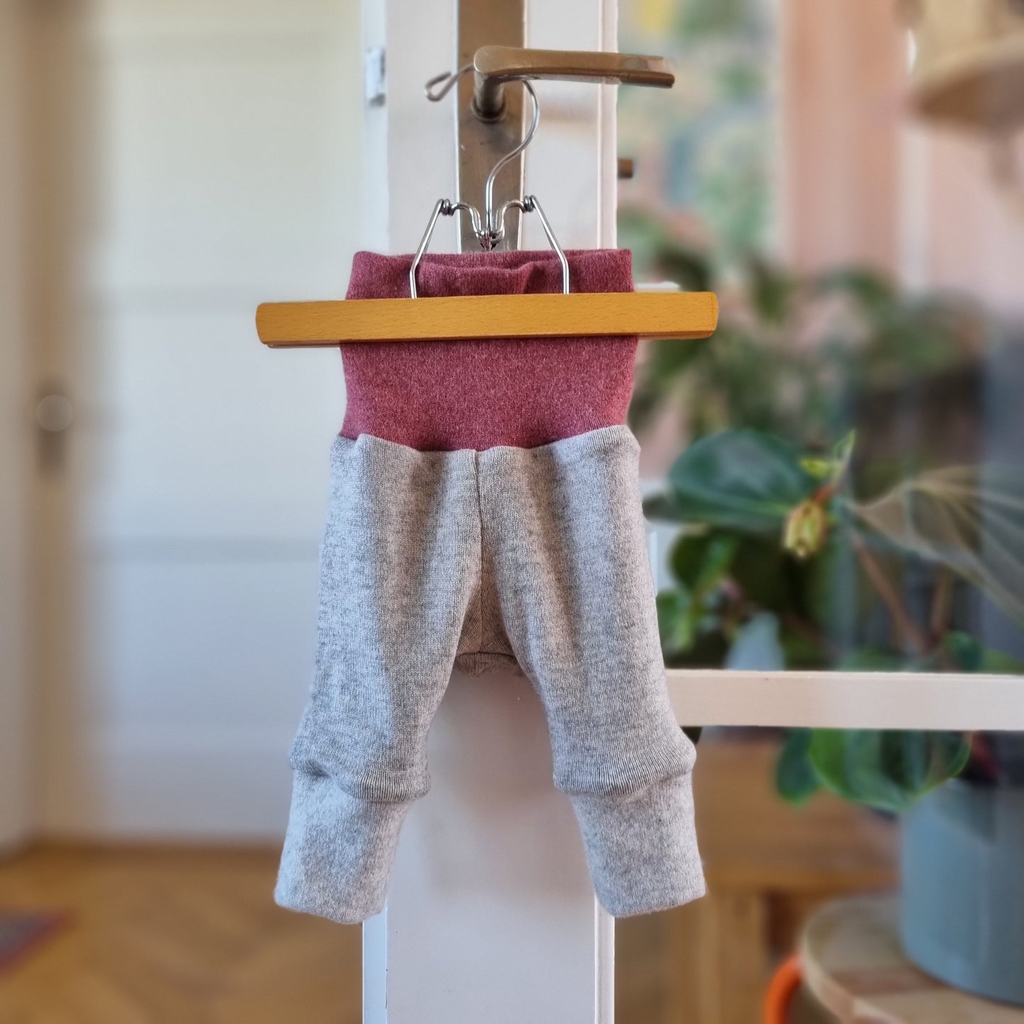 Longie Mikro grau/rot